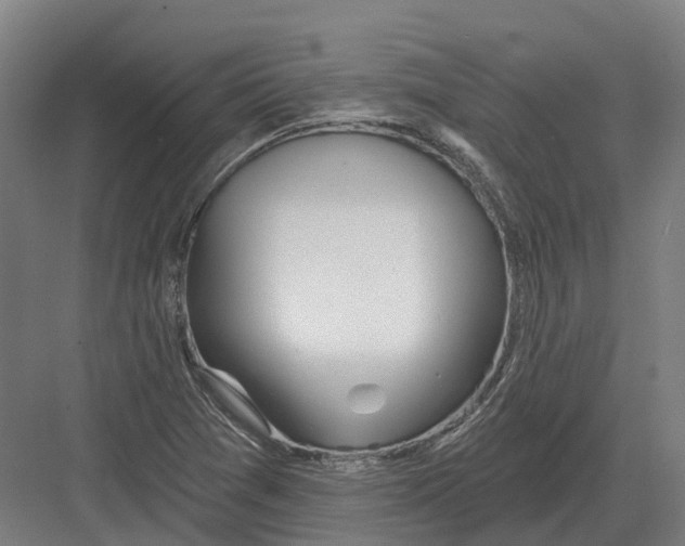 X0000082161361200702162223