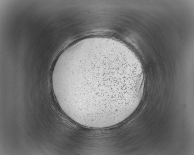 X0000082161362200702162223