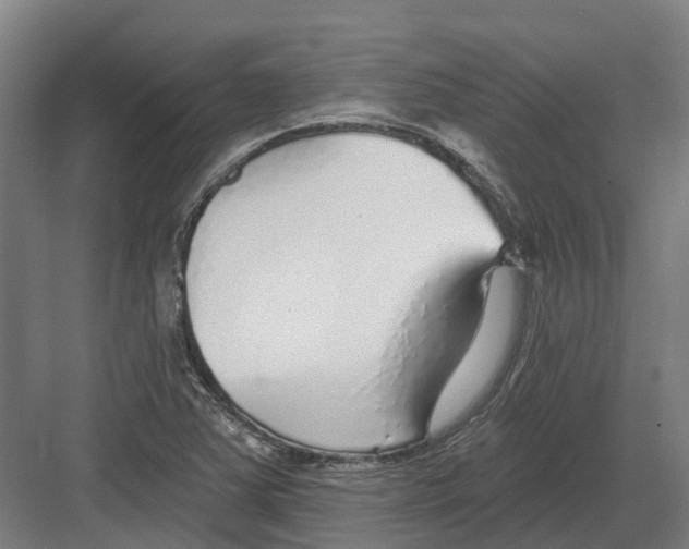 X0000082161363200702162223