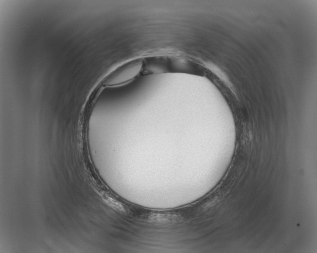 X0000082161364200702162223