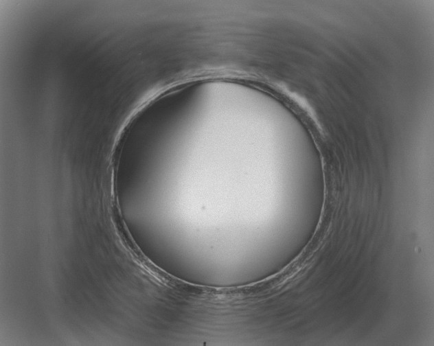 X0000082161365200702162223