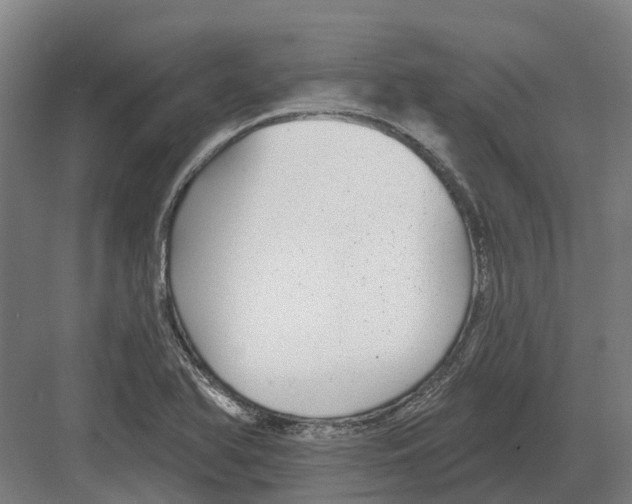 X0000082161366200702162223