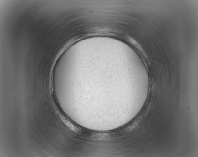 X0000082161370200702162223