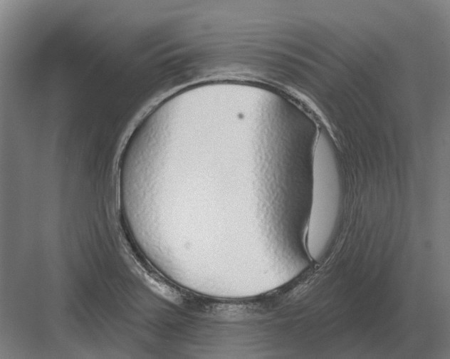 X0000082161371200702162223