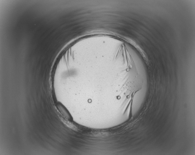 X0000082161372200702162223