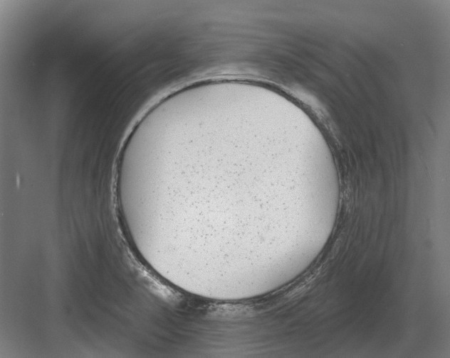 X0000082161374200702162223