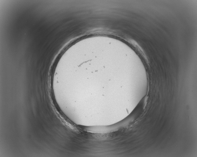 X0000082161376200702162223