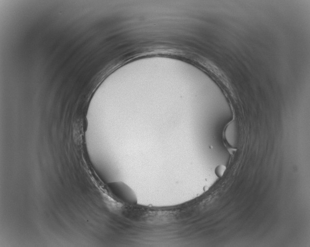 X0000082161377200702162223