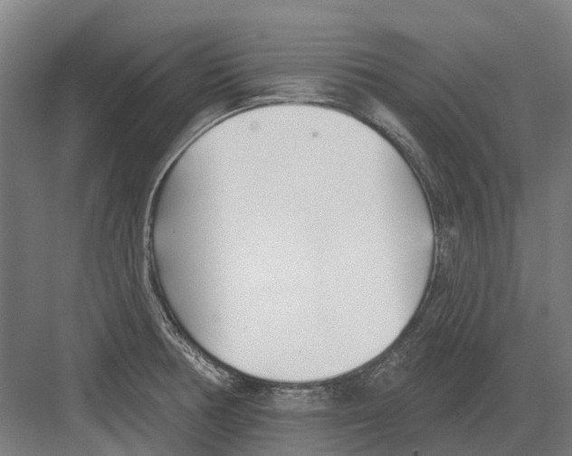 X0000082161378200702162223