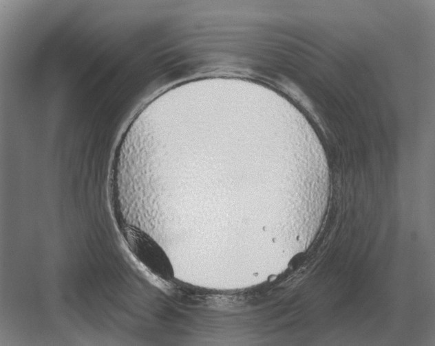 X0000082161379200702162223