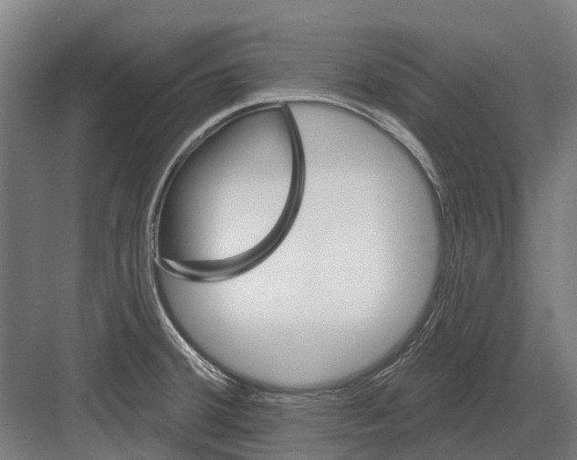 X0000082161380200702162223