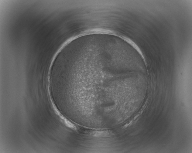 X0000082161381200702162223