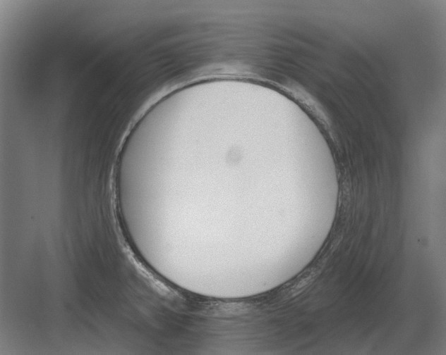 X0000082161382200702162223