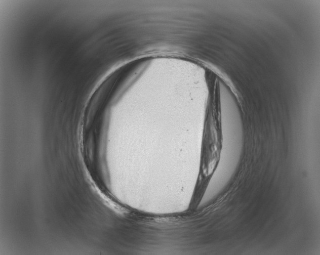 X0000082161383200702162223