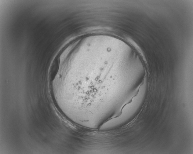 X0000082161384200702162223