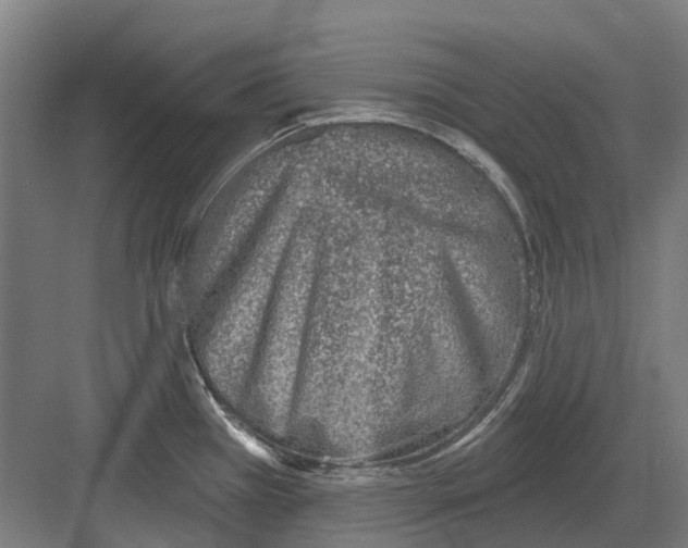 X0000082161385200702162223