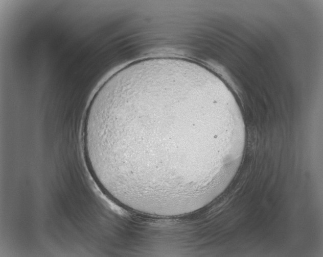 X0000082161387200702162223