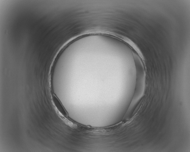 X0000082161388200702162223