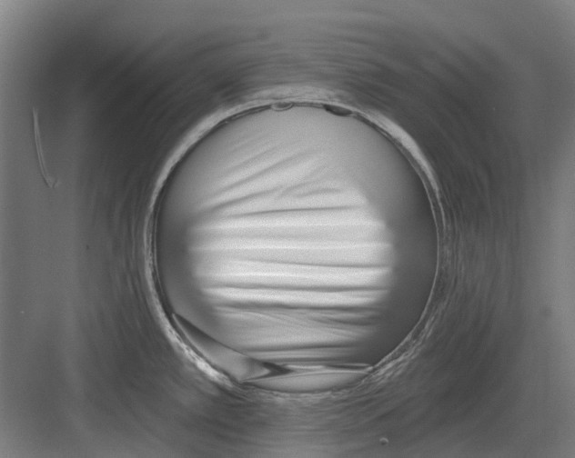 X0000082161389200702162223