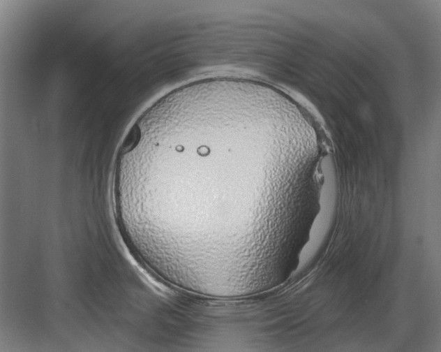 X0000082161391200702162223