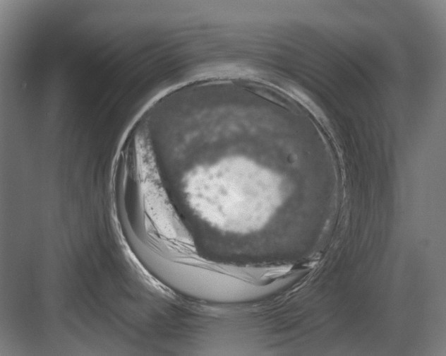 X0000082161392200702162223