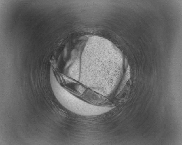 X0000082161394200702162222