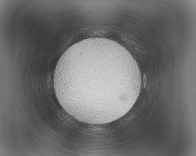 X0000082161395200702162222