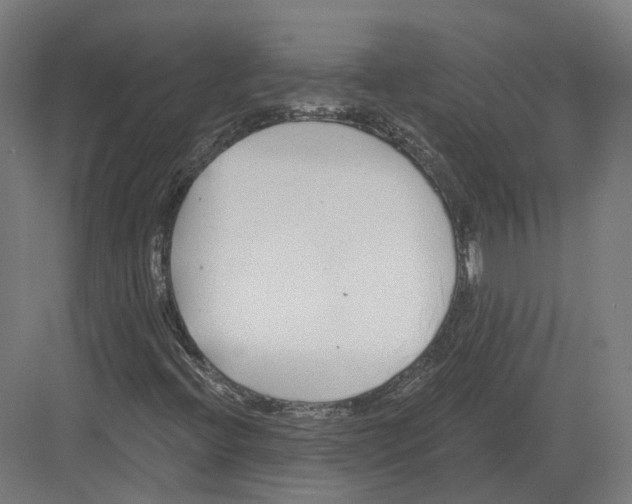 X0000082161396200702162222