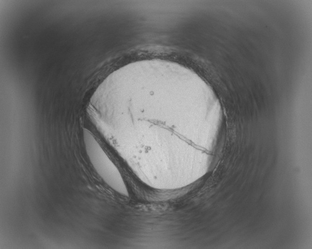 X0000082161397200702162222