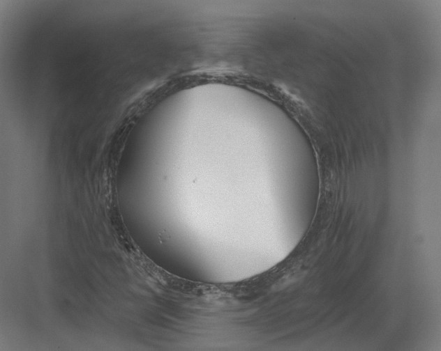 X0000082161398200702162222