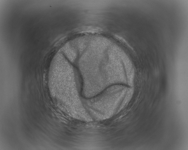 X0000082161399200702162222