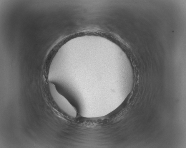 X0000082161400200702162222