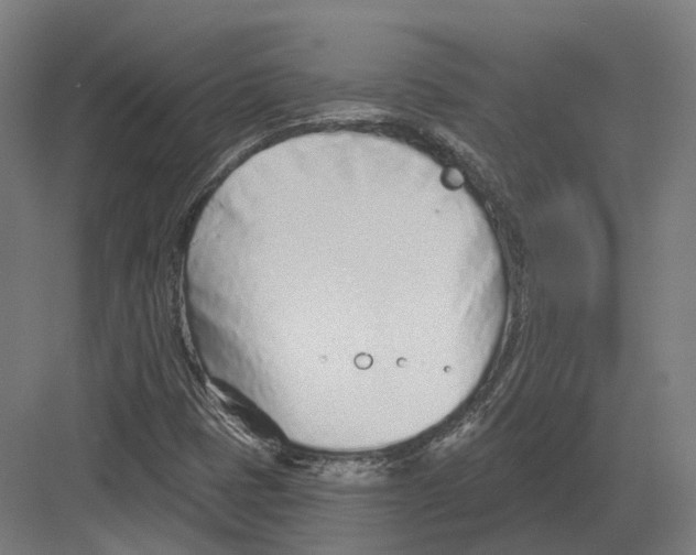 X0000082161401200702162222