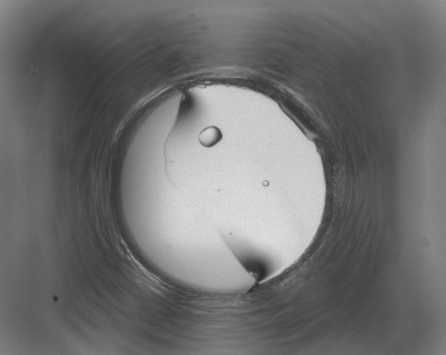 X0000082161402200702162222