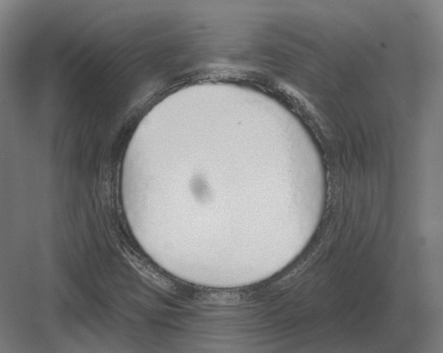 X0000082161403200702162222