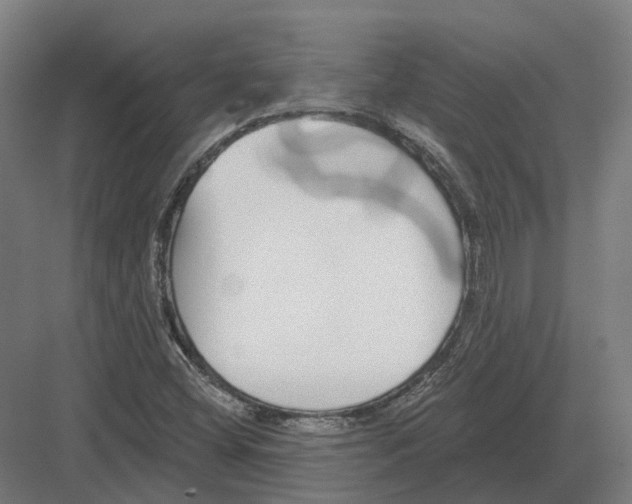 X0000082161404200702162222