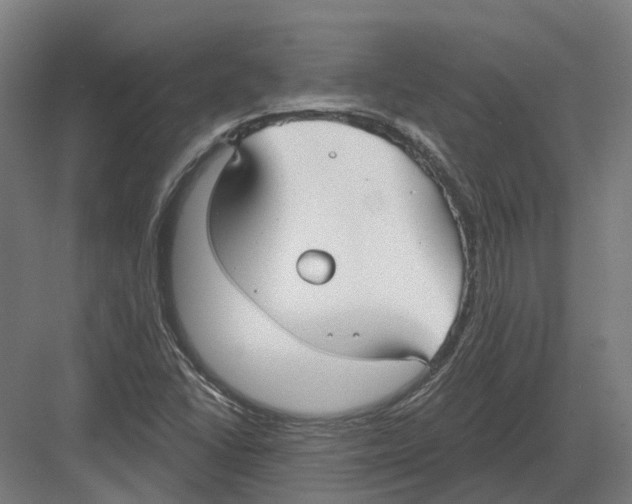 X0000082161406200702162222