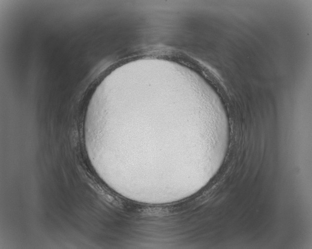 X0000082161407200702162222