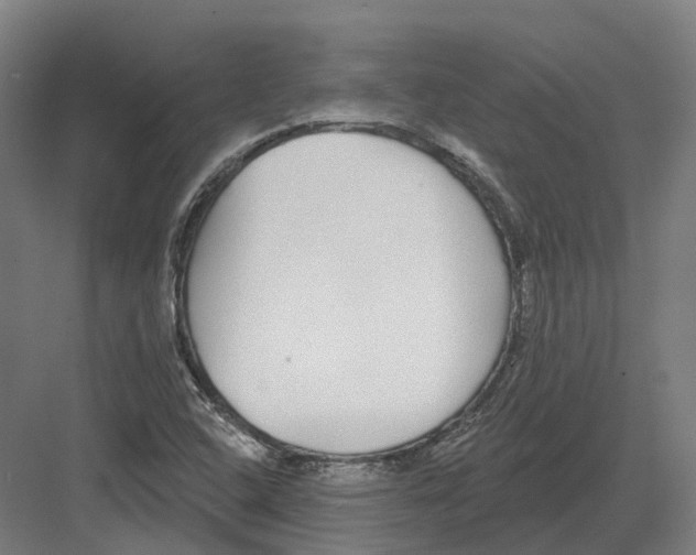 X0000082161408200702162222