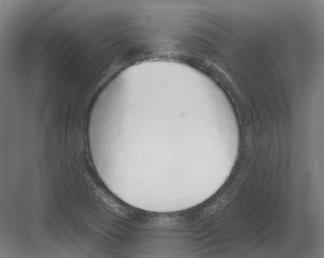 X0000082161409200702162222