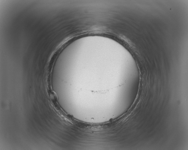 X0000082161410200702162222