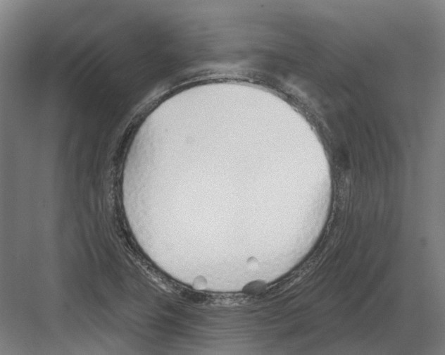 X0000082161411200702162222