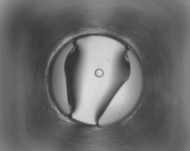 X0000082161414200702162222