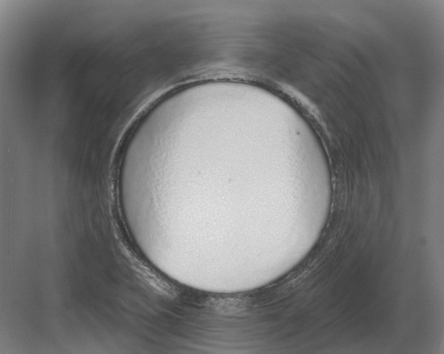 X0000082161415200702162222