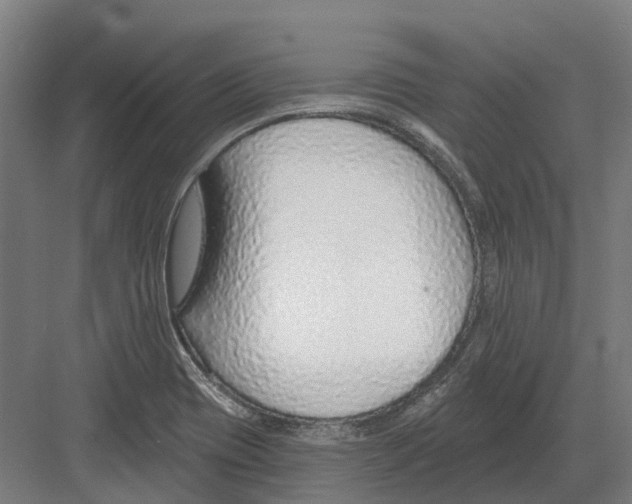 X0000082161417200702162223