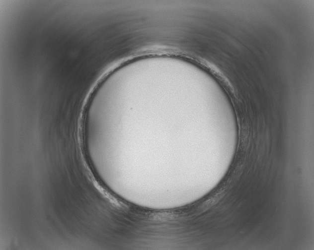 X0000082161421200702162223