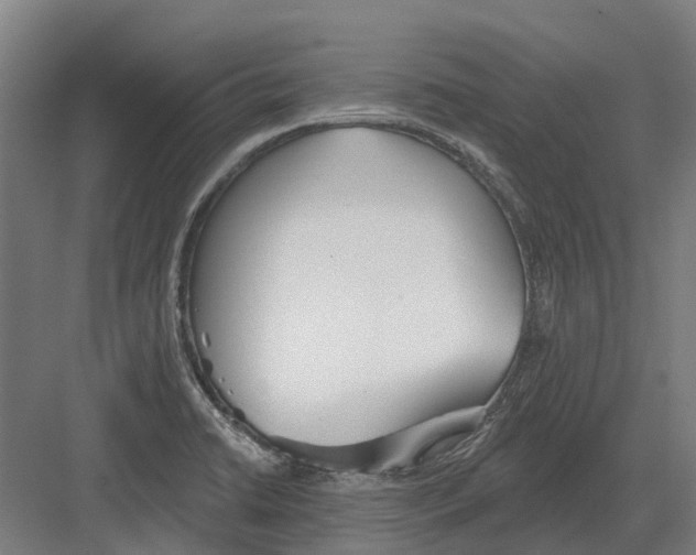 X0000082161422200702162223