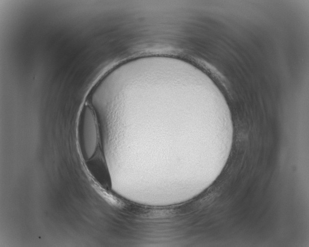 X0000082161423200702162223