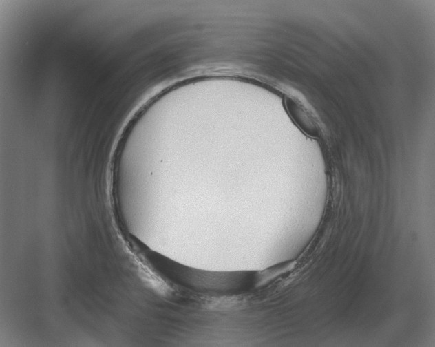 X0000082161424200702162223