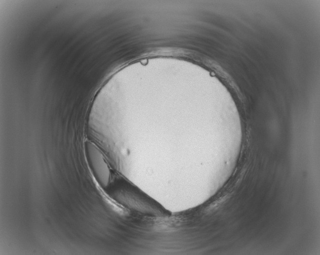 X0000082161425200702162223